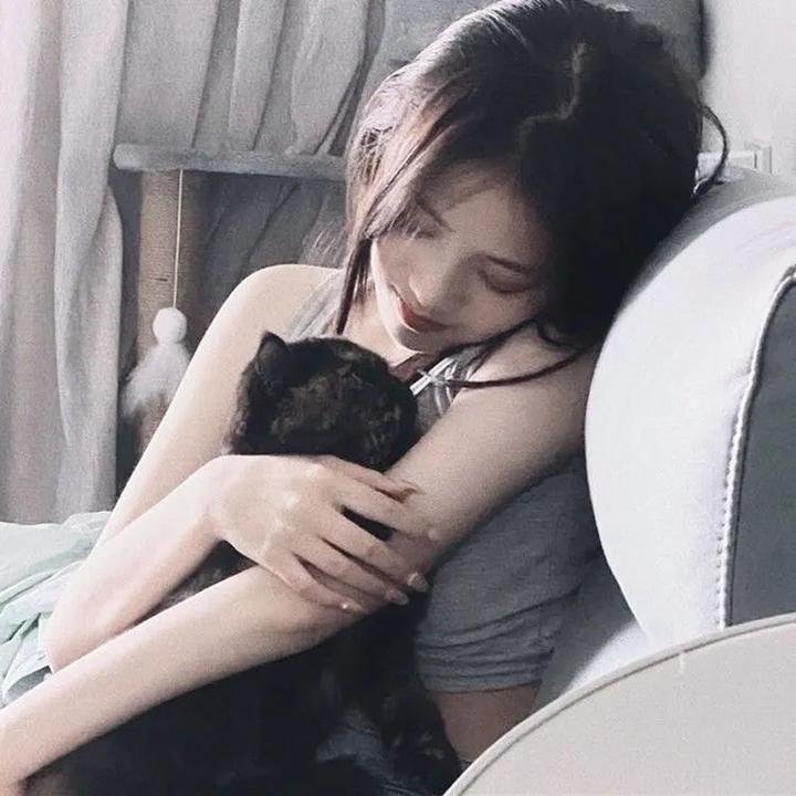蜂巢的幽灵